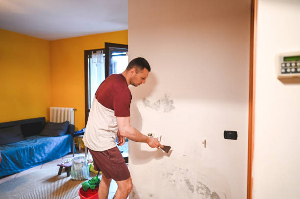 Best Attic Mold Remediation in East Rutherford, NJ